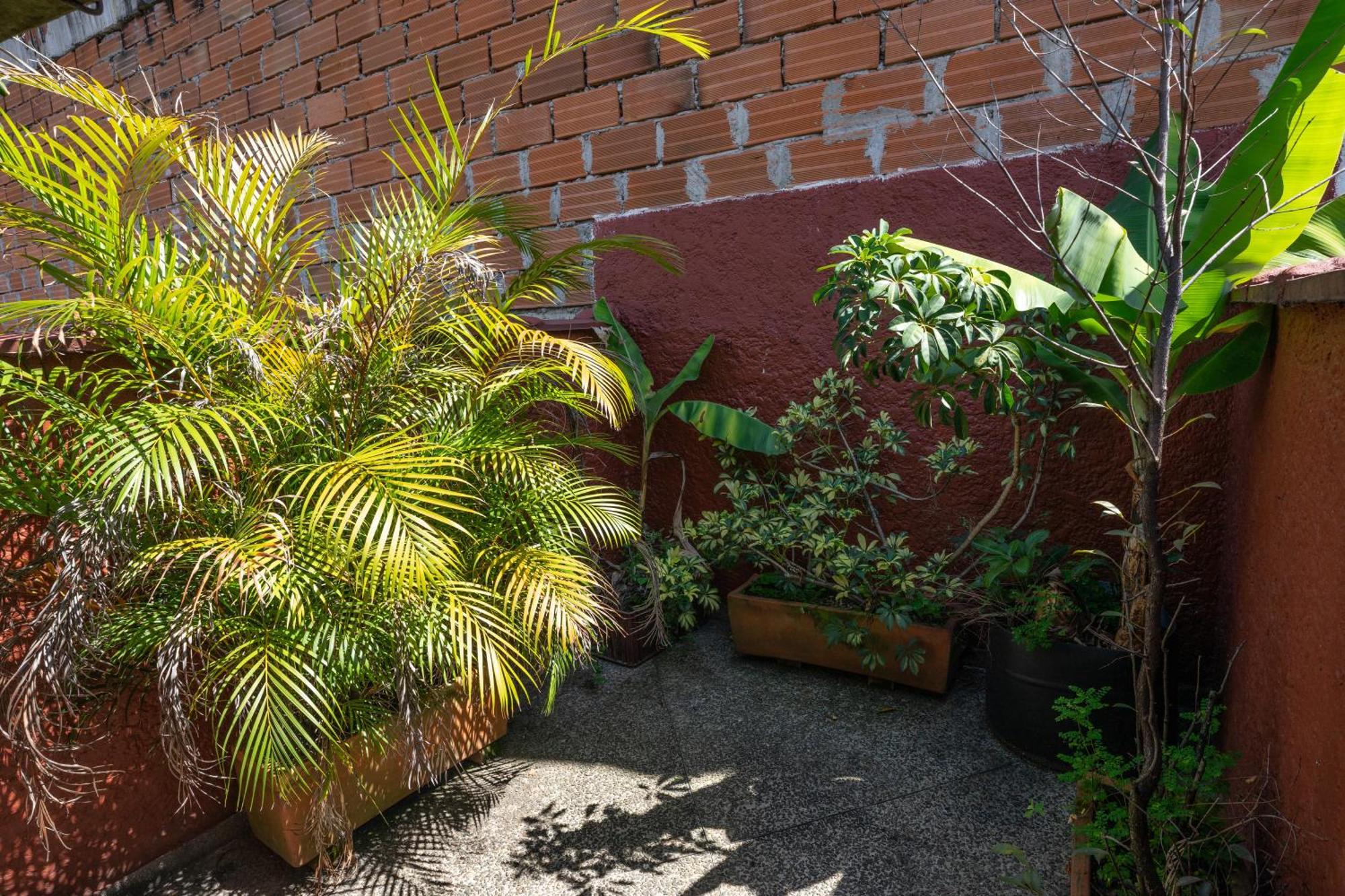 Oasis En El Corazon De Medellin, Laureles Lejlighed Eksteriør billede